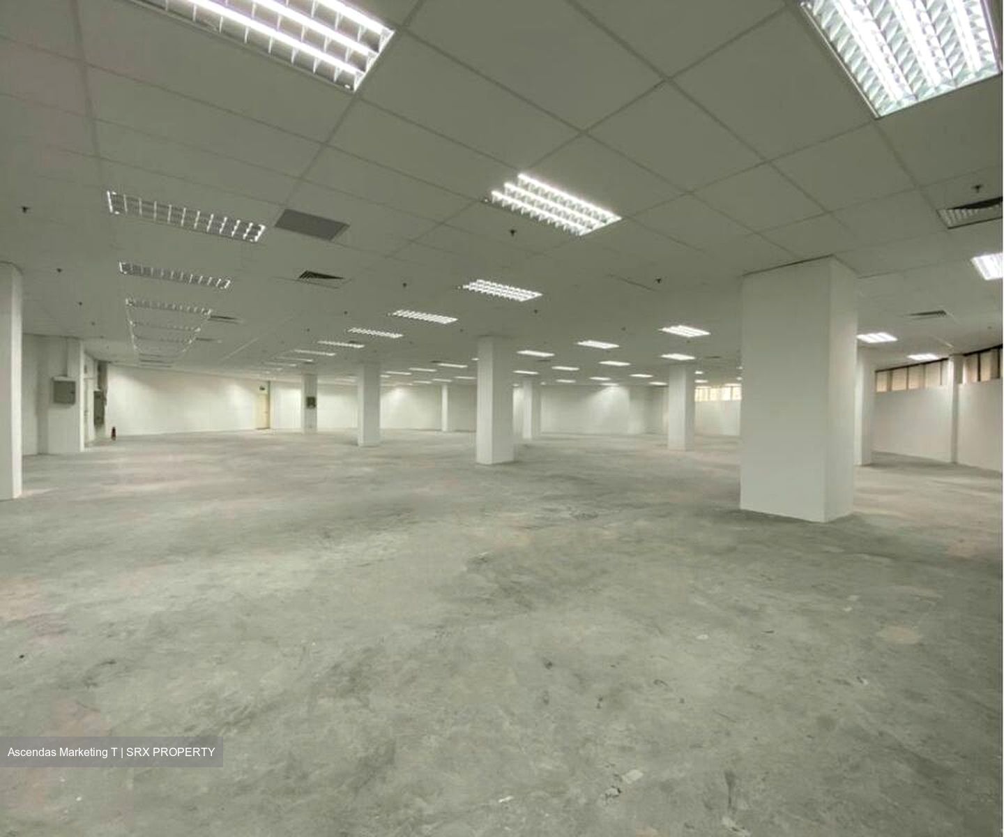 Imm Building (D22), Warehouse #500412661